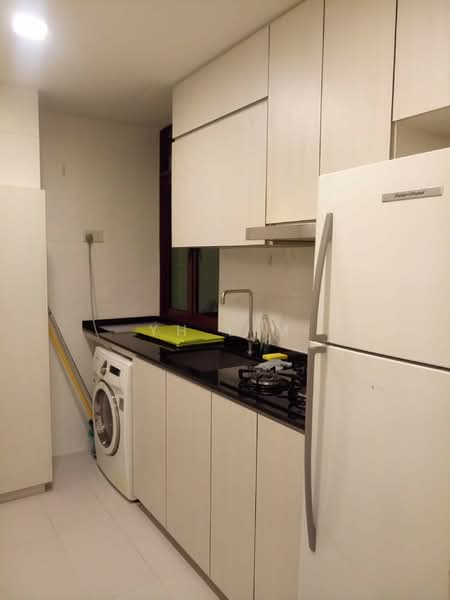 Amaninda, 329 Thomson Road, 1 Bedroom, 678 sqft, Condominium For Rent, by Yin Lim, 18365935 - renovated kitchen - PropertyGuru.com.sg