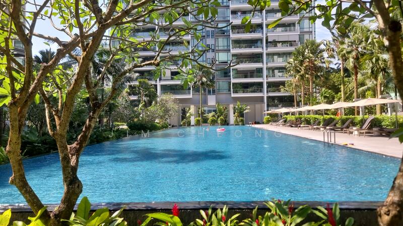 lots of greenery landscape