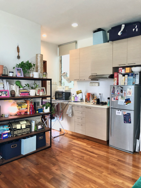 Sophia Flats, 28 Wilkie Road, Orchard / River Valley, 1 Bedroom, 600 sqft, Apartment For Rent, by JO Tan, 18509829 - PropertyGuru.com.sg