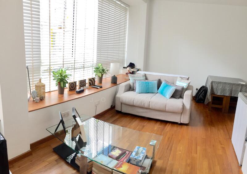 Sophia Flats, 28 Wilkie Road, Orchard / River Valley, 1 Bedroom, 600 sqft, Apartment For Rent, by JO Tan, 18509829 - PropertyGuru.com.sg