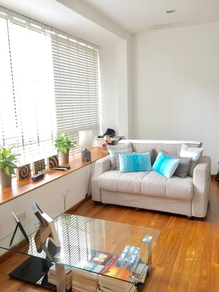 Sophia Flats, 28 Wilkie Road, Orchard / River Valley, 1 Bedroom, 600 sqft, Apartment For Rent, by JO Tan, 18509829 - PropertyGuru.com.sg