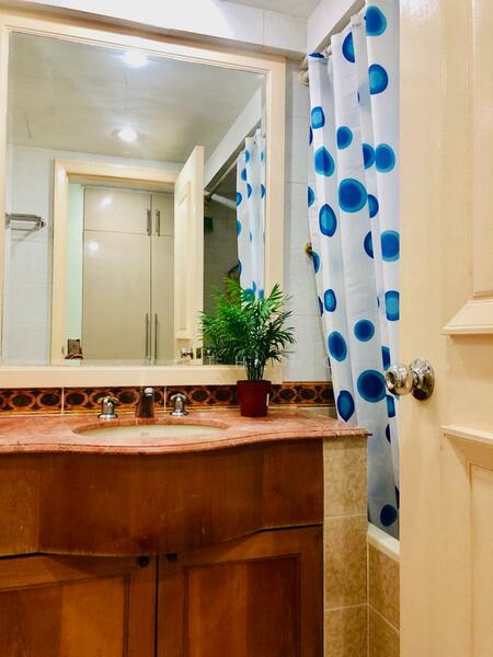 MASTER BEDROOM TOILET