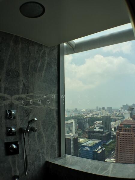 For Rent - The Orchard Residences