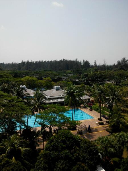 View from Living Hall