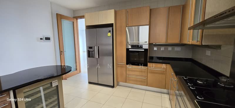 Ardmore Park, 9 Ardmore Park, 4 Bedrooms, 2,885 sqft, Condominium For Rent, by Megan Chua, 18610854 - PropertyGuru.com.sg