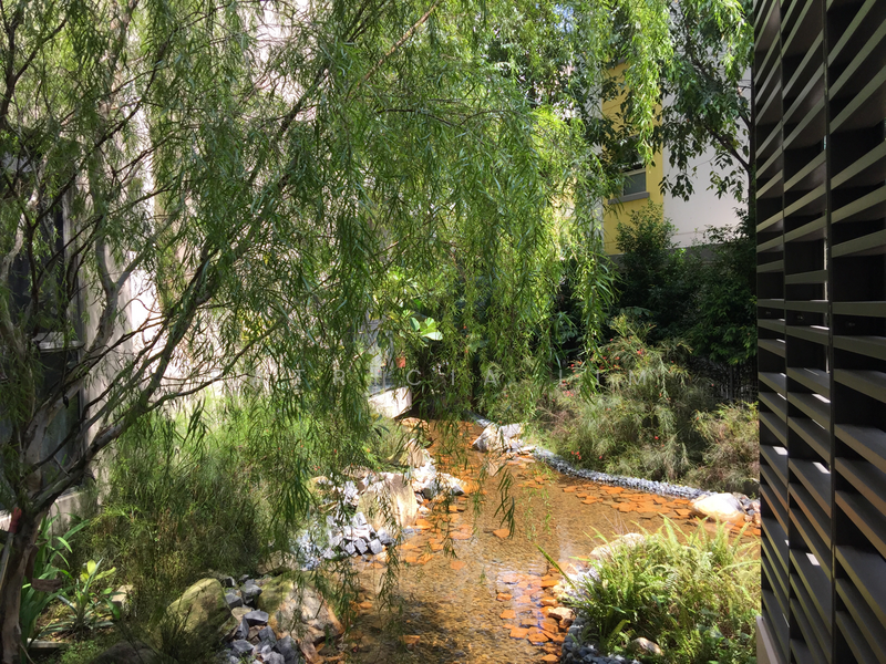 enjoy greenery and water feature