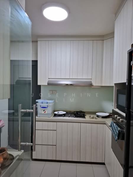 Pinnacle @ Duxton, 1 Cantonment Road, 3 Bedrooms, 1,001 sqft, HDB Flat For Rent, by Josephine Lim, 18728369 - PropertyGuru.com.sg