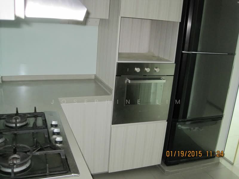 Pinnacle @ Duxton, 1 Cantonment Road, 3 Bedrooms, 1,001 sqft, HDB Flat For Rent, by Josephine Lim, 18728369 - PropertyGuru.com.sg