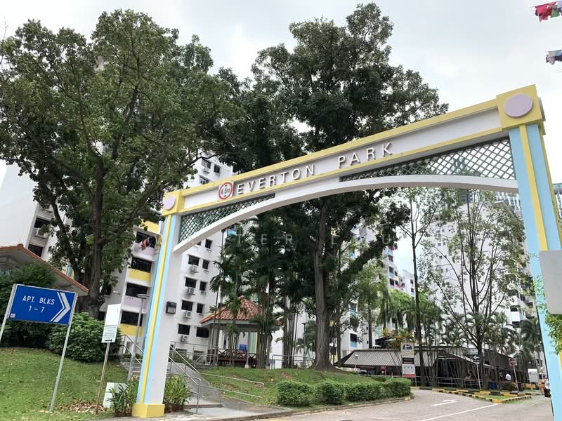 Spottiswoode 18, 18 Spottiswoode Park Road, 1 Bedroom, 387 sqft, Condominium For Rent, by Walter Lau, 18742955 - HDB Everton Park with shophouse nearby - PropertyGuru.com.sg