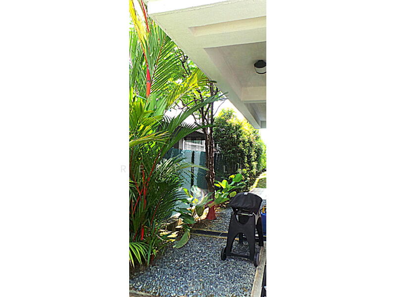 Side garden