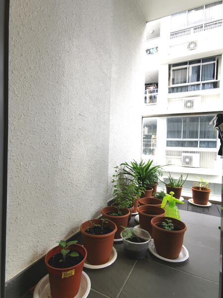 Primo Residences, 201 Jalan Pelikat, 1 Bedroom, 517 sqft, Condominium For Rent, by Cynthia Chan, 18782949 - PropertyGuru.com.sg