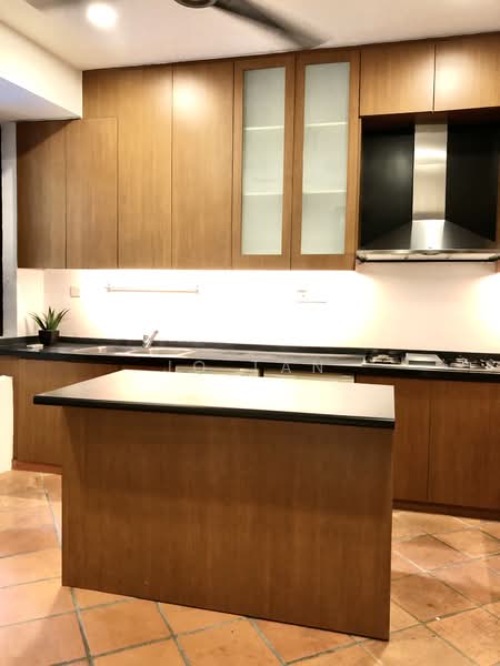 PURE CLASS! ROBERTSON QUAY CONSERVATION HOUSE : BE WOW BY IT!!, Kim Yam Road / Robertson Quay, 5 Bedrooms, 4,600 sqft, Conservation House For Rent, by JO Tan, 18795177 - PropertyGuru.com.sg