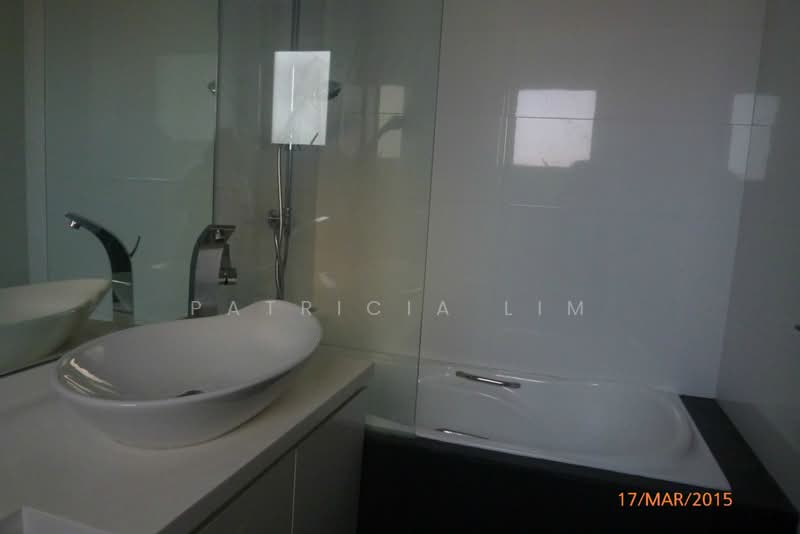 The Regalia, 2 River Valley Close, 3 Bedrooms, 1,270 sqft, Apartment For Rent, by Patricia Lim, 18862385 - renovated bathroom - PropertyGuru.com.sg