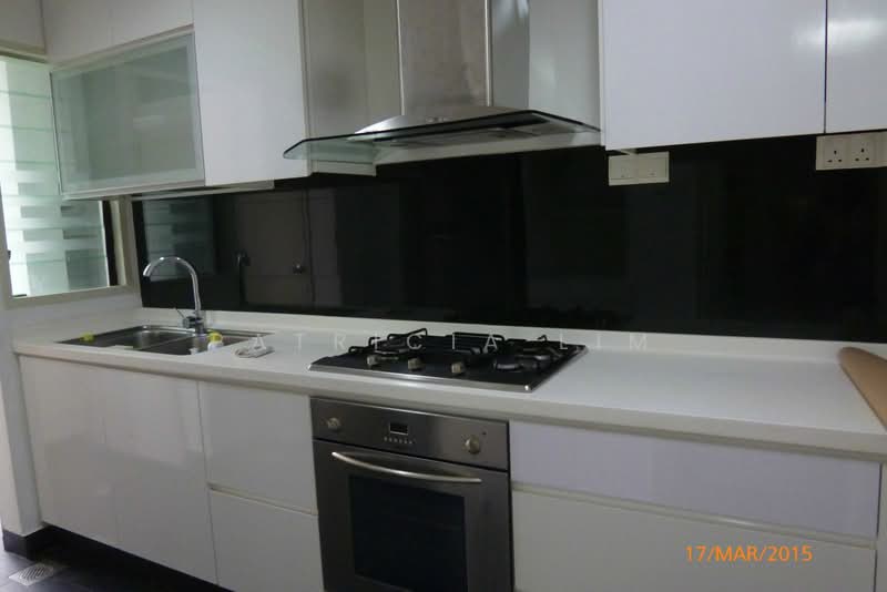 The Regalia, 2 River Valley Close, 3 Bedrooms, 1,270 sqft, Apartment For Rent, by Patricia Lim, 18862385 - renovated kitchen w oven - PropertyGuru.com.sg