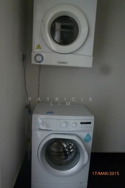 The Regalia, 2 River Valley Close, 3 Bedrooms, 1,270 sqft, Apartment For Rent, by Patricia Lim, 18862385 - washer dryer - PropertyGuru.com.sg