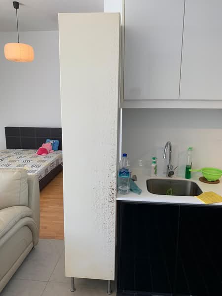 The Minton, 10C Hougang Street 11, Studio, 614 sqft, Condominium For Rent, by Cleo Lee, 18913048 - PropertyGuru.com.sg