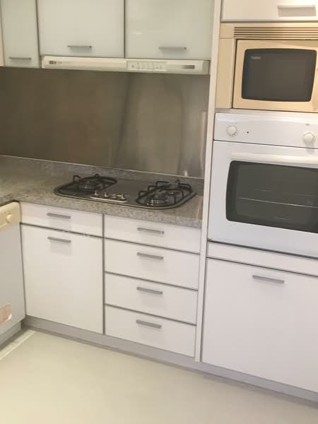 Visioncrest, 33 Oxley Rise, 1 Bedroom, 840 sqft, Apartment For Rent, by Ong Sulwyn, 18920413 - PropertyGuru.com.sg