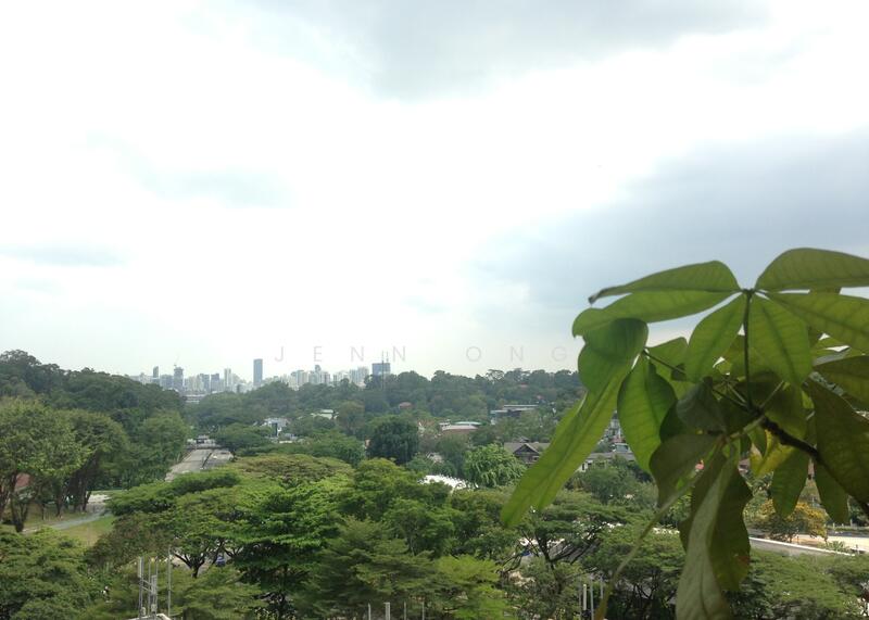 Unblocked Greenery View