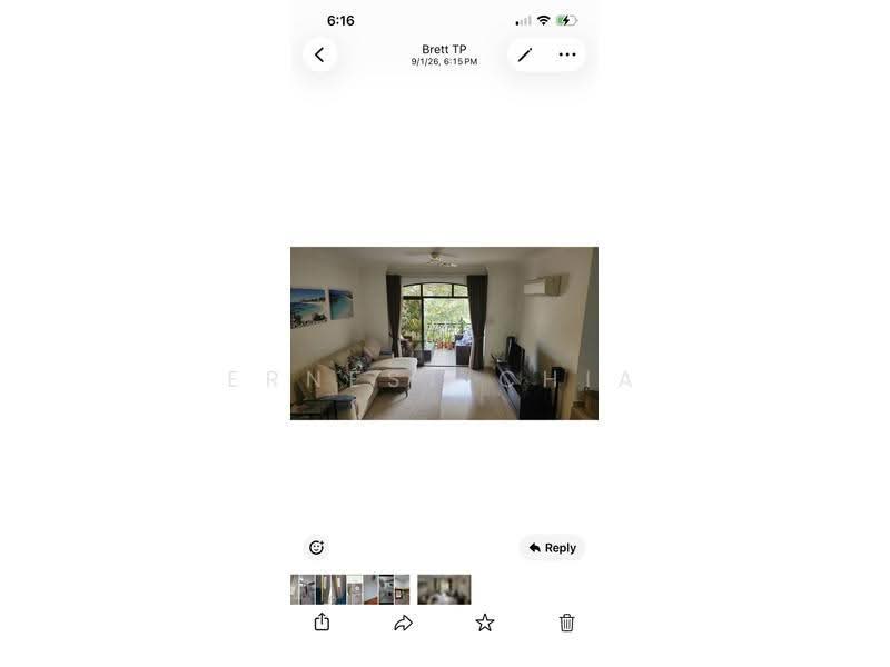 Tanglin Park, 1 Ridley Park, Tanglin / Holland / Bukit Timah, 3 Bedrooms, 1,765 sqft, Condominium For Rent, by Ernest Chia, 18952557 - PropertyGuru.com.sg
