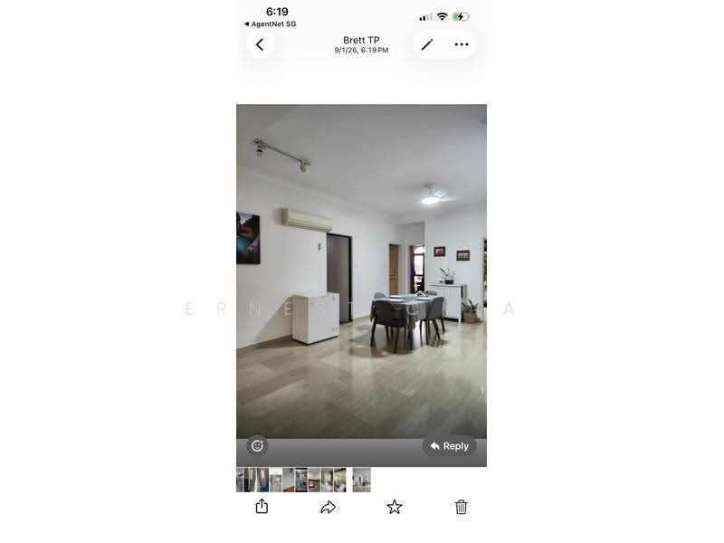 Tanglin Park, 1 Ridley Park, Tanglin / Holland / Bukit Timah, 3 Bedrooms, 1,765 sqft, Condominium For Rent, by Ernest Chia, 18952557 - PropertyGuru.com.sg