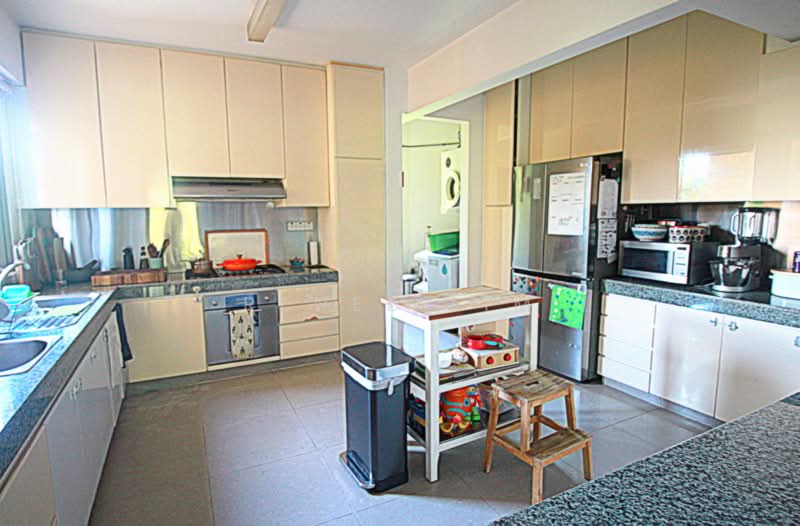 Garden Apartment, 25 Orange Grove Road, 4 Bedrooms, 2,480 sqft, Condominium For Rent, by Renee Lim, 18962640 - Spacious Kitchen - PropertyGuru.com.sg