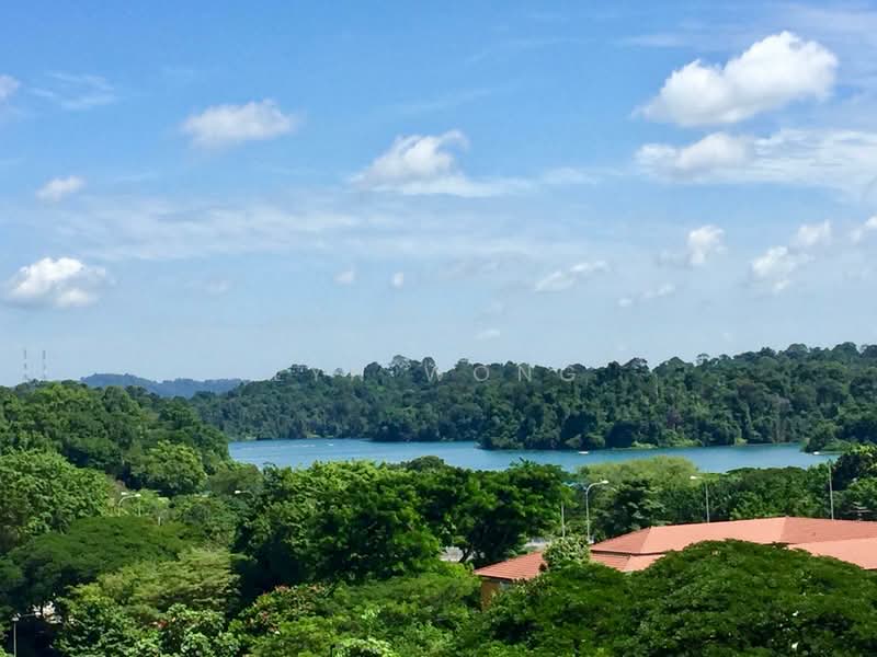 Thomson 800, 798 Thomson Road, 3 Bedrooms, 1,600 sqft, Condominium For Rent, by Lyn Wong, 18990484 - View fr Balcony 2 - PropertyGuru.com.sg