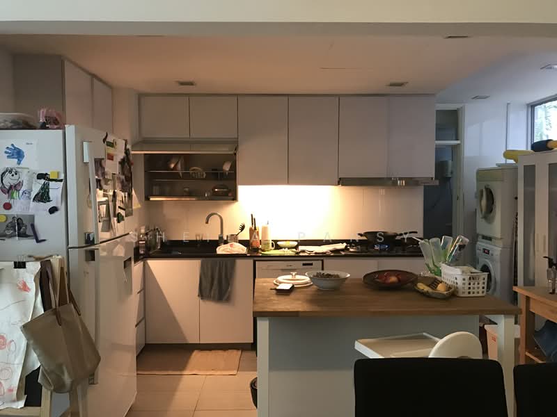 Jervois Lodge, 32 Jervois Road, 3 Bedrooms, 1,798 sqft, Condominium For Rent, by Sheila Pansy, 18999210 - Kitchen - PropertyGuru.com.sg