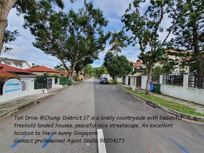 Toh Estate, Toh Drive, 6 Bedrooms, 4,000 sqft, Detached House For Rent, by Stella Kong, 19011872 - PropertyGuru.com.sg
