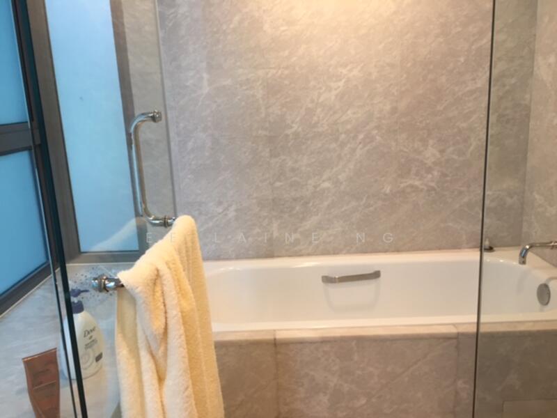 Master bathtub