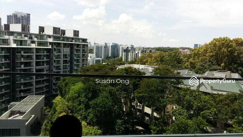 View from Living hall