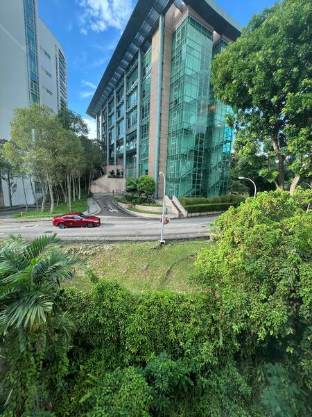 Royal Palm Mansions, 330 Pasir Panjang Road, 3 Bedrooms, 1,238 sqft, Condominium For Rent, by Sharon Tan, 19066867 - PropertyGuru.com.sg