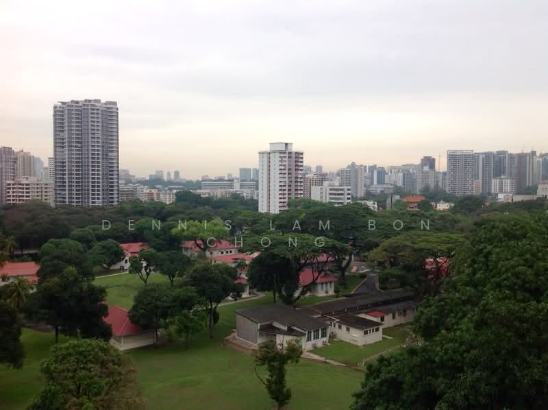 Scenic Heights, 245 Balestier Road, 3 Bedrooms, 1,292 sqft, Condominium For Rent, by Dennis Lam Bon Chong, 19102183 - PropertyGuru.com.sg