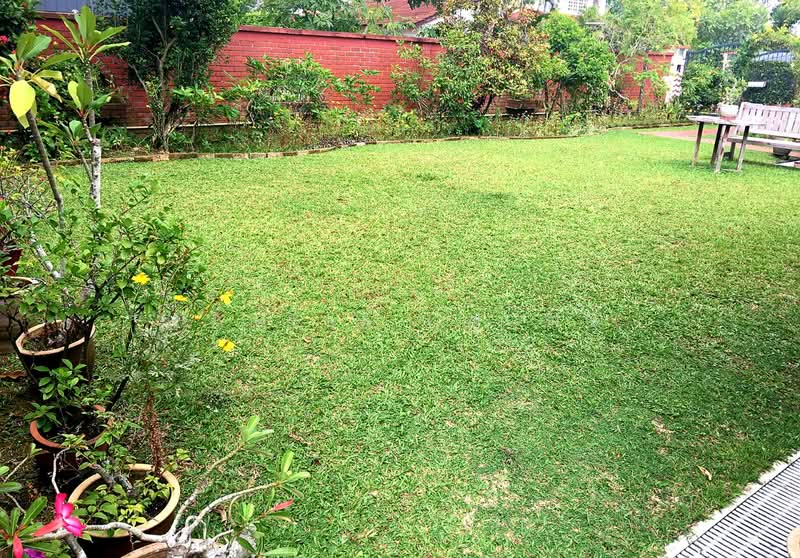 STUNNING SUB-DIVISIBLE CORNER PLOT @ CHANCERY ⭐️ MIXED LANDED ZONE ⭐️ ACS/CHIJ/SJI ☎️ PAM 90228600, Chancery/ Goldhill/ Barker / Mount Rosie, 3 Bedrooms, 6,000 sqft, Detached House For Sale, by Pamela Chong, 19102337 - PropertyGuru.com.sg