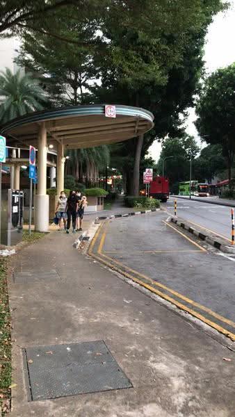 2 Holland Avenue, 2 Holland Avenue, Tanglin / Holland / Bukit Timah, 2 Bedrooms, 822 sqft, HDB Flat For Rent, by Micah Lim 林益才, 19120069 - PropertyGuru.com.sg