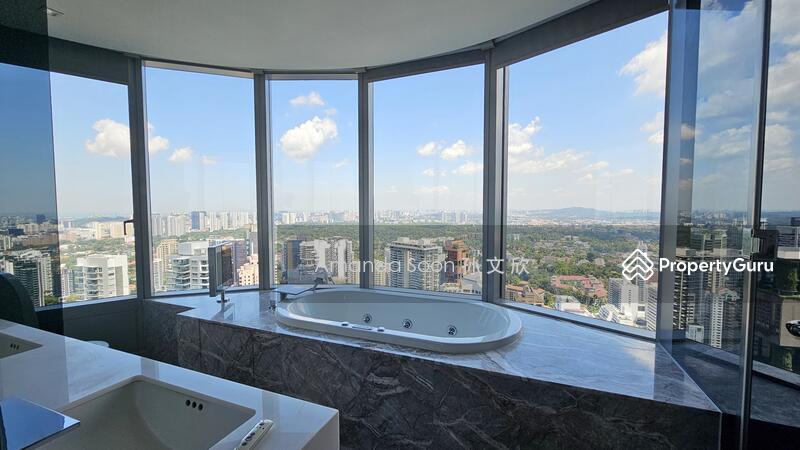 For Rent - The Orchard Residences