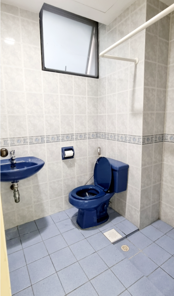 Common Bathroom