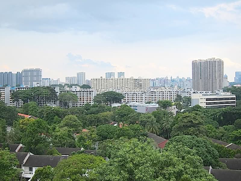 The Merasaga, 23 Jalan Merah Saga, 2 Bedrooms, 958 sqft, Condominium For Rent, by Kenneth Lim CT, 19198262 - PropertyGuru.com.sg