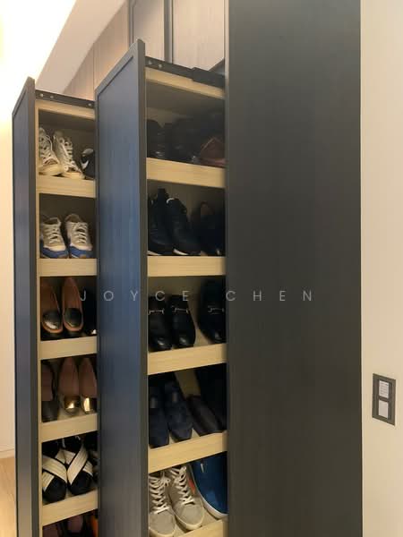 Pull out shoe rack