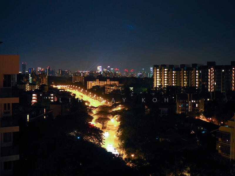 Jade Mansion, 10 Leedon Road, 5 Bedrooms, 5,300 sqft, Condominium For Rent, by Lindsay Koh, 19232844 - PropertyGuru.com.sg