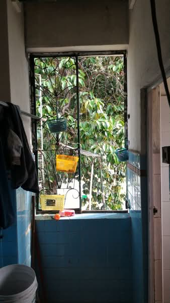 Walk up 113 Owen road, Owen Road, Farrer Park / Serangoon Rd, 3 Bedrooms, 1,400 sqft, Walk-up Apartment For Rent, by Albert Wong, 19238200 - Greenery View - PropertyGuru.com.sg