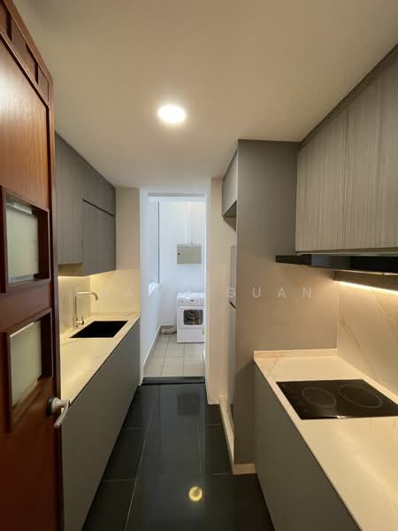 River Place, 60 Havelock Road, 1 Bedroom, 786 sqft, Condominium For Rent, by Shawn Guan, 19242474 - PropertyGuru.com.sg