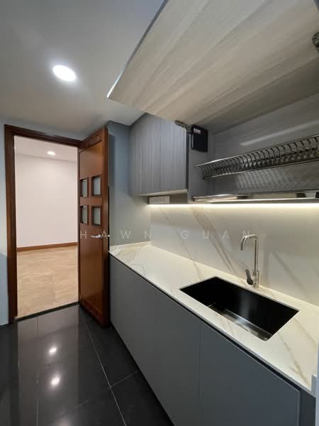 River Place, 60 Havelock Road, 1 Bedroom, 786 sqft, Condominium For Rent, by Shawn Guan, 19242474 - PropertyGuru.com.sg
