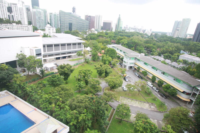 View from the Balcony