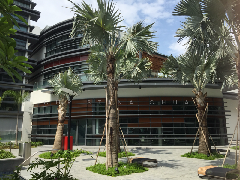 Hedges Park Condominium, 79 Flora Drive, 1 Bedroom, 484 sqft, Condominium For Rent, by Christina Chua, 19278678 - PropertyGuru.com.sg