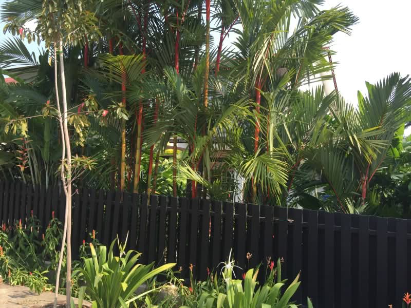 Botanical- Inspired Landscaping 2 Storey Semi D ,Namly Drive off Sixth Avenue, Namly Drive , Sixth Avenue, Namly Garden, 3 Bedrooms, 3,200 sqft, Semi-Detached House For Rent, by Peter Yao, 19291444 - PropertyGuru.com.sg