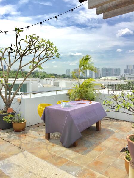 Emily Residence, 3 Mount Emily Road, Orchard / River Valley, 1 Bedroom, 1,100 sqft, Apartment For Rent, by JO Tan, 19370290 - Private rooftop terrace - PropertyGuru.com.sg
