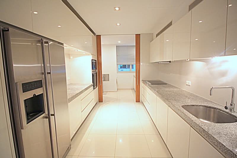 Grange Residences, 91 Grange Road, 4 Bedrooms, 2,670 sqft, Condominium For Rent, by Renee Lim, 19379779 - Wet and Dry Kitchen - PropertyGuru.com.sg