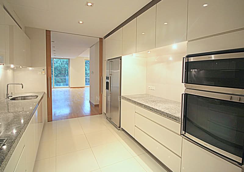 Grange Residences, 91 Grange Road, 4 Bedrooms, 2,670 sqft, Condominium For Rent, by Renee Lim, 19379779 - Fully Equipped Kitchen - PropertyGuru.com.sg