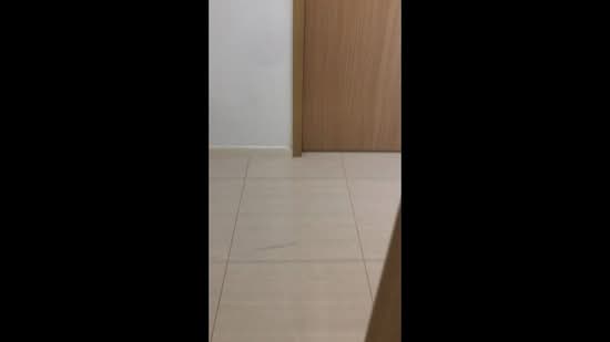 Boathouse Residences, 23 Upper Serangoon View, 2 Bedrooms, 915 sqft, Condominium For Rent, by Andrew Tan, 19384566 - PropertyGuru.com.sg