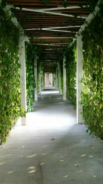 Cyan, 6 Keng Chin Road, 2 Bedrooms, 1,023 sqft, Condominium For Rent, by Jerry Tay, 19413210 - PropertyGuru.com.sg